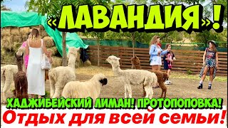 УЕХАЛА ИЗ ОДЕССЫ В «ЛАВАНДИЮ»❗️ ОДЕССКАЯ ОБЛАСТЬ❗️ПРОТОПОПОВКА❗️ «ЛАВАНДИЯ» - ОТДЫХ ДЛЯ ВСЕЙ СЕМЬИ