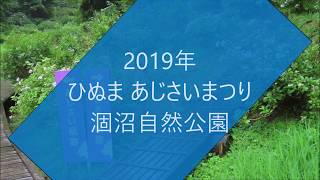 あじさいまつり2019