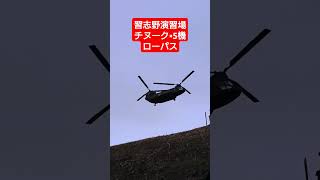 第1空挺団訓練降下始め チヌーク×5機のローパス #第1空挺団 #習志野演習場 #CH47 #チヌーク