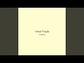 Velvet Fragile