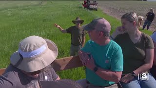 'The prairie sells itself': Iowa farmers discover advantages to planting prairie strips