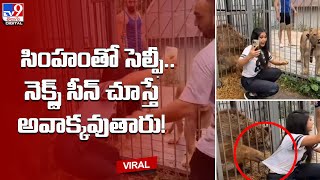 సింహంతో సెల్ఫీ .. నెక్స్ట్ సీన్‌ చూస్తే అవాక్కవుతారు! - TV9