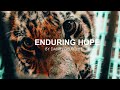 ENDURING HOPE   By Daniel Deuschle