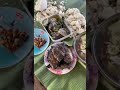 nag harvest kami ng isda sobrang dami ng isda na harvest viralvideo food bavyvlog