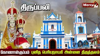 🅻🅸🆅🅴 - 04-01-2025 | Saturday Tamil Mass | Our Lady Periyanayagi Shrine Konankuppam | Mercy TV