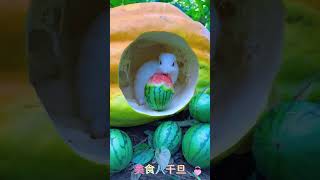 スイカを食べるのが大好きな小さなウサギlittle rabbit who loves to eat watermelon愛吃西瓜的小兔子