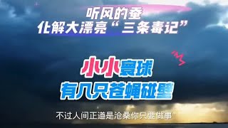 听风的蚕化身“世外高人”，欲化解大漂亮三条毒计