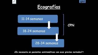 La ecografía del tercer trimestre.