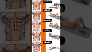 عضله سازی💪عضله سازی سریع💪برای عضله سازی چی بخوریم💪بدنسازی در خانه💪اموزش بدنسازی