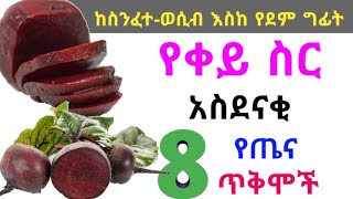 የቀይ ስር 8 አስደናቂ ጠቀሜታዎች ‼️ ከስንፈተ-ወሲብ እስከ የደም ግፊት ‼️