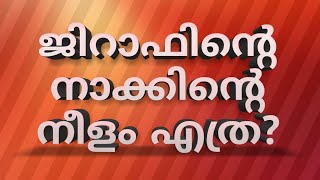 ജിറാഫിൻ്റെ നാക്കിൻ്റെ നീളം എത്ര? || Did You Know These 5 Facts || നിങ്ങൾ ഇതേവരെ കേട്ടിട്ടില്ലാ....||