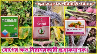 Curzate M8 | Moximate | Cymoxanil 8% + Mancozeb 64% Wp কোন রোগের জন্য ব্যবহার করবেন ।