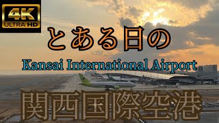 【4K】とある日の関西国際空港✈️＃飛行機 ＃関西国際空港 ＃海外便 ＃旅客機 ＃貨物機