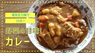 【T-falで15分】クックフォーミー(電気圧力鍋)で作る『野菜の甘みカレー』