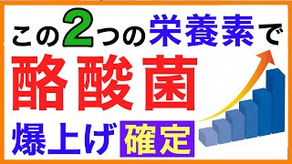 酪酸菌を爆発的に増やす栄養素【栄養チャンネル・分子栄養学入門】酪酸菌/増やす/腸活