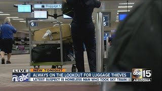 Homeless man arrested after stealing luggage