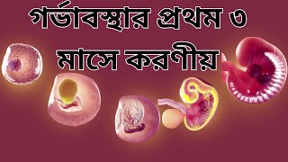 গর্ভাবস্থার প্রথম ৩ মাসে করণীয় | গর্ভাবস্থার প্রথম ৩ মাস কি করণীয়