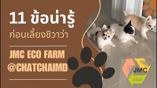 11 ข้อ น่ารู้ก่อนรับเลี้ยงชิวาว่า #JMC_ECO #chihuahua adoption parents