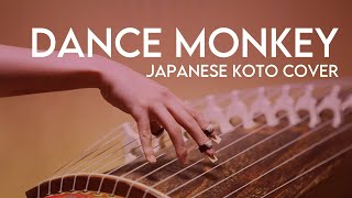 【Dance Monkey - Tones And I】お箏(琴)で弾いてみた [和楽器 × 洋楽]