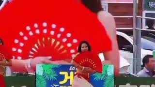 거제 셀레네 밸리댄스 맥주 축제공연 Belly dance(벨리댄스)