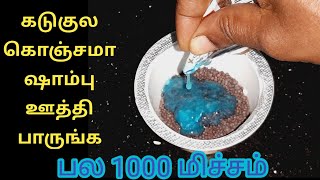 கடுகுல கொஞ்சம் ஷாம்பு ஊத்தி பாருங்க ஷாக் ஆவீங்க/Kitchen tips in tamil