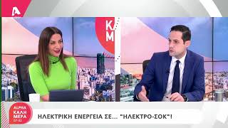 Ο Κυβερνητικός Εκπρόσωπος για τα θέματα του ηλεκτρισμού | AlphaNews Live