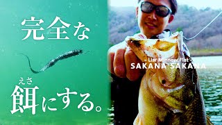 【バス釣り】サカナ サカナ 3.8in / 見えバスを「驚異的に釣る」為のセッティング【AK◆BOX】