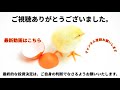 【株式投資】変化する産業保安…利用加速へ 🚁ドローン関連銘柄紹介 roe・roa掲載 u0026 bbチャート分析29銘柄紹介 【明日の注目銘柄 01月12日 火 】