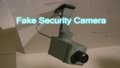Security Camera Fun! Security Camera Fun!