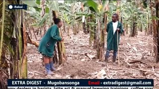 OKUUMA OTYA FARM YA MATOOKE NEBATALUBAA - GRACE BWOGI