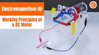 Electromagnetism (part 2): Working Principles of a DC Motor