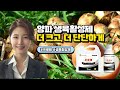 양파생육활성제 와이앤바이오 프로테 불리한 생육환경에도 더크고 더 단단하게 저온에서도생육활발 양파생육활성제 친환경생육활성제 프로테