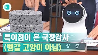 자유한국당의  국감  '퍼포먼스' 시선집중 / 비디오머그