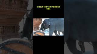 The Chilling Truth: Elephants Were Once Used as Executioners