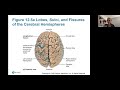 Ch. 12 (Part 1) Central Nervous System