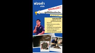 มูลไส้เดือนอัดเม็ด  ของฟองคำฟาร์ม