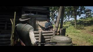 The Confused War Veteran l Red Dead Redemption 2 (2018) Easter Egg and Location