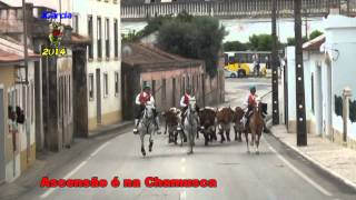 Chamusca - Entrada de Toiros - Ascensão 2014