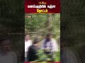 வனப்பகுதியில் கஞ்சா தோட்டம் andhra pradesh ganja farm newstamil24x7