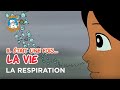 Il était une fois… la Vie 🌱- La respiration 🔬