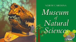 North Carolina Museum of Natural Sciences 2020 | Raleigh, North Carolina