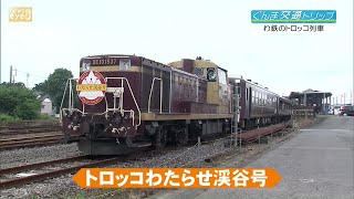 【ぐんま交通トリップ】自然を満喫！わたらせ渓谷鐵道のトロッコ列車(22/04/28)