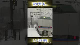 【カッコいい〜!!】雪降る新疋田駅を通過するしらさぎ#shorts