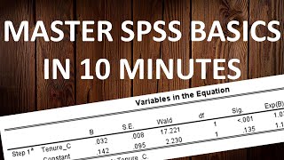 SPSS Tutorial: 10-Minute Guide for Beginners