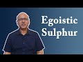 Egoistic Sulphur (Part 1) Explained by Dr Sanjay in Hindi