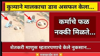 मस्करी करत असाल तर शेवट पर्यंत लक्ष देऊन बघा...Mm marathi news | viral news | humanity |