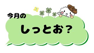 本家かまどや【公式】2024年4月おすすめ商品「しっとお？」