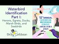 Waterbird Identification Part I: Herons, Egrets, Ducks, Marsh Birds, Seabirds