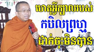 និយាយអំពីក្បាលកបិលមហាព្រហ្ម / Dharma talk by Choun kakada CKD