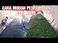 Cara mudah penyemaian biji kopi